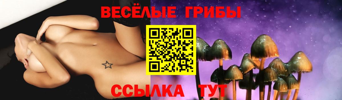 Нягань  Галлюциногенные грибы мухоморы  как найти наркотики  Вход с VPN 